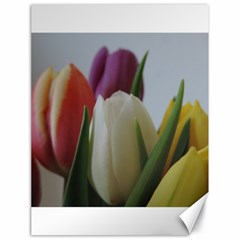 Colored By Tulips Canvas 18  X 24   by picsaspassion