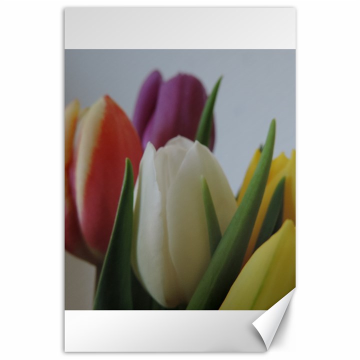 Colored by Tulips Canvas 24  x 36 