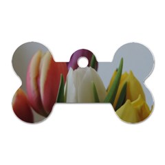 Colored By Tulips Dog Tag Bone (one Side) by picsaspassion