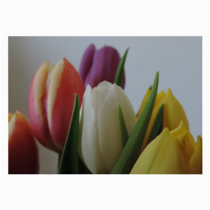 Colored by Tulips Large Glasses Cloth