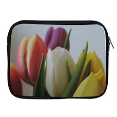 Colored By Tulips Apple Ipad 2/3/4 Zipper Cases by picsaspassion