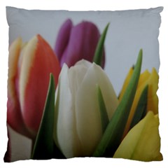 Colored By Tulips Standard Flano Cushion Case (one Side) by picsaspassion