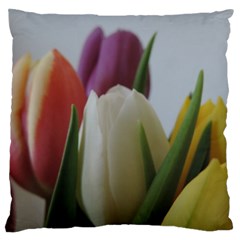 Colored By Tulips Standard Flano Cushion Case (two Sides)