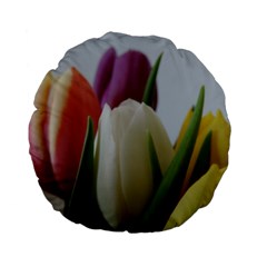 Colored By Tulips Standard 15  Premium Flano Round Cushions