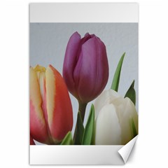 Tulip Spring Flowers Canvas 24  X 36  by picsaspassion