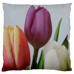 Tulip Spring Flowers Large Cushion Case (one Side) by picsaspassion