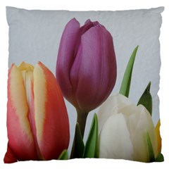 Tulip Spring Flowers Large Flano Cushion Case (two Sides)