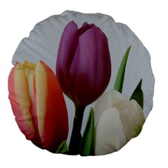 Tulip Spring Flowers Large 18  Premium Flano Round Cushions