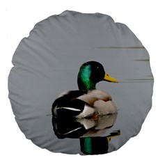 Swimming Duck Large 18  Premium Flano Round Cushions