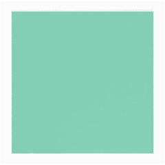 Mint Color Medium Glasses Cloth