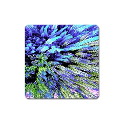 Colorful Floral Art Square Magnet by yoursparklingshop