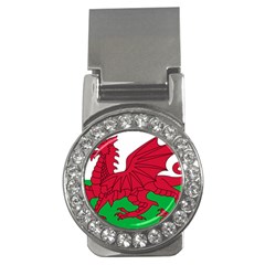 Flag Of Wales Money Clips (cz)  by abbeyz71