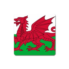 Flag Of Wales Square Magnet by abbeyz71