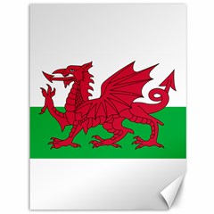 Flag Of Wales Canvas 36  X 48   by abbeyz71