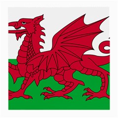 Flag Of Wales Medium Glasses Cloth