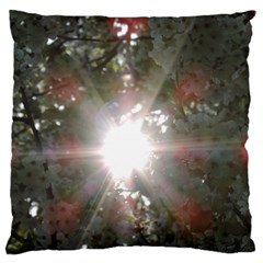 Sun Rays Through White Cherry Blossoms Standard Flano Cushion Case (two Sides)