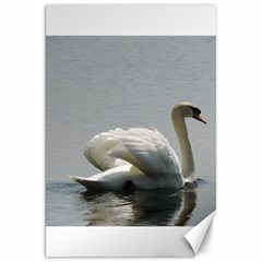 Swimming White Swan Canvas 20  X 30   by picsaspassion