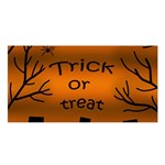 Trick or treat - cemetery  Satin Shawl Front