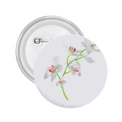 Isolated Orquideas Blossom 2 25  Buttons by dflcprints