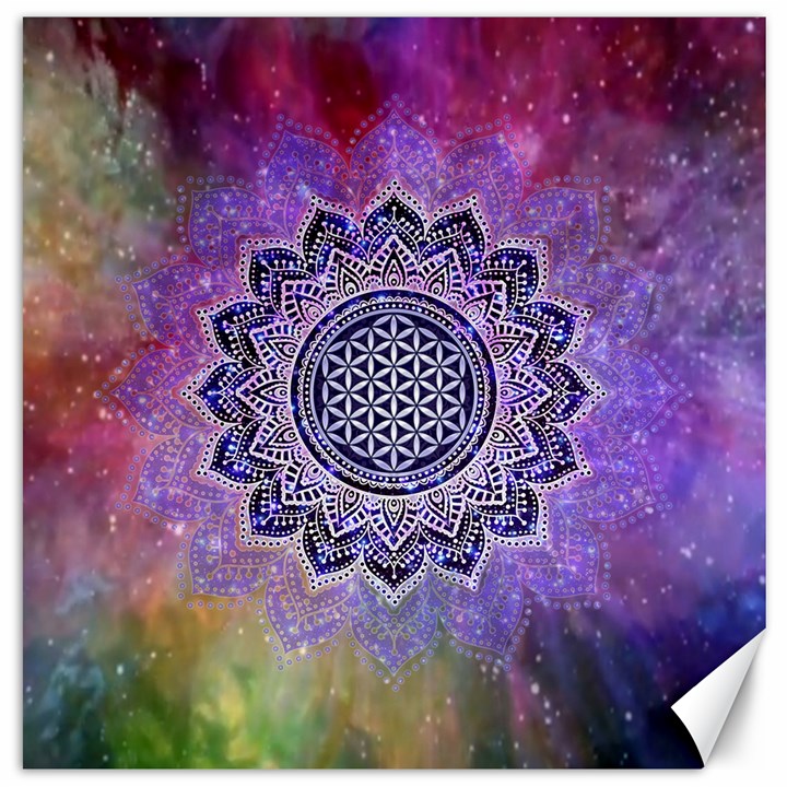 Flower Of Life Indian Ornaments Mandala Universe Canvas 12  x 12  