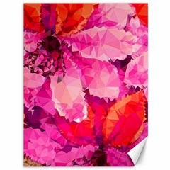 Geometric Magenta Garden Canvas 36  X 48   by DanaeStudio