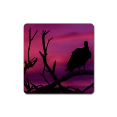 Vultures At Top Of Tree Silhouette Illustration Square Magnet by dflcprints