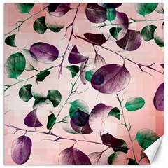 Spiral Eucalyptus Leaves Canvas 20  X 20   by DanaeStudio