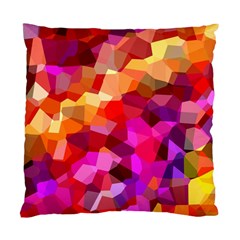 Geometric Fall Pattern Standard Cushion Case (two Sides) by DanaeStudio