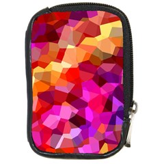 Geometric Fall Pattern Compact Camera Cases by DanaeStudio