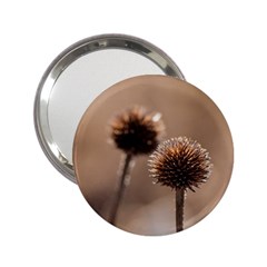 2  Verwelkte Kugeldistel 2 25  Handbag Mirrors