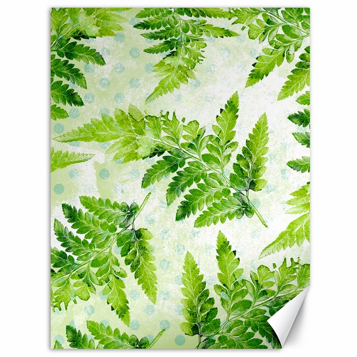 Fern Leaves Canvas 36  x 48  