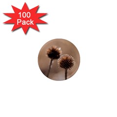 Withered Globe Thistle In Autumn Macro 1  Mini Magnets (100 Pack)  by wsfcow