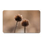 Withered Globe Thistle In Autumn Macro Magnet (Rectangular) Front