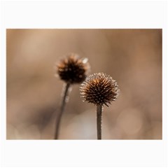 Withered Globe Thistle In Autumn Macro Large Glasses Cloth (2-side) by wsfcow