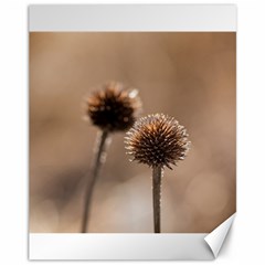 Withered Globe Thistle In Autumn Macro Canvas 11  X 14   by wsfcow