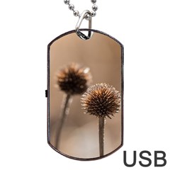 Withered Globe Thistle In Autumn Macro Dog Tag Usb Flash (two Sides)  by wsfcow