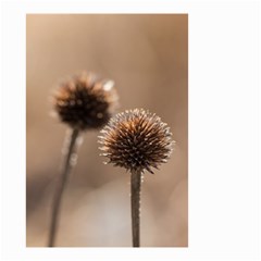 Withered Globe Thistle In Autumn Macro Small Garden Flag (two Sides) by wsfcow