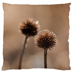 Withered Globe Thistle In Autumn Macro Large Cushion Case (one Side) by wsfcow