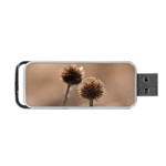 Withered Globe Thistle In Autumn Macro Portable USB Flash (Two Sides) Front