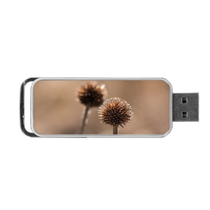 Withered Globe Thistle In Autumn Macro Portable USB Flash (Two Sides)