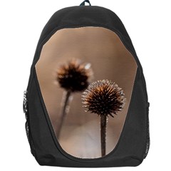 Withered Globe Thistle In Autumn Macro Backpack Bag by wsfcow