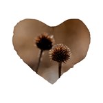 Withered Globe Thistle In Autumn Macro Standard 16  Premium Flano Heart Shape Cushions Front