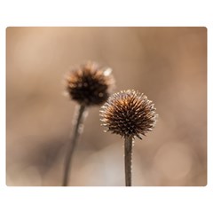 Withered Globe Thistle In Autumn Macro Double Sided Flano Blanket (medium)  by wsfcow