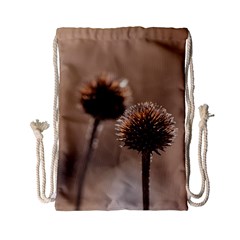 Withered Globe Thistle In Autumn Macro Drawstring Bag (small)