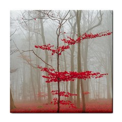 Magic Forest In Red And White Tile Coasters