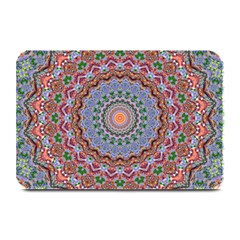 Abstract Painting Mandala Salmon Blue Green Plate Mats by EDDArt