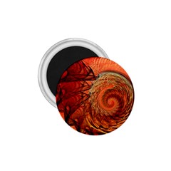 Nautilus Shell Abstract Fractal 1.75  Magnets