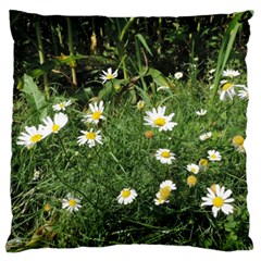 White Daisy Flowers Standard Flano Cushion Case (one Side)