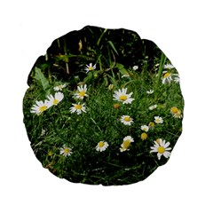 White Daisy Flowers Standard 15  Premium Flano Round Cushions