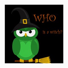 Who Is A Witch? - Green Medium Glasses Cloth